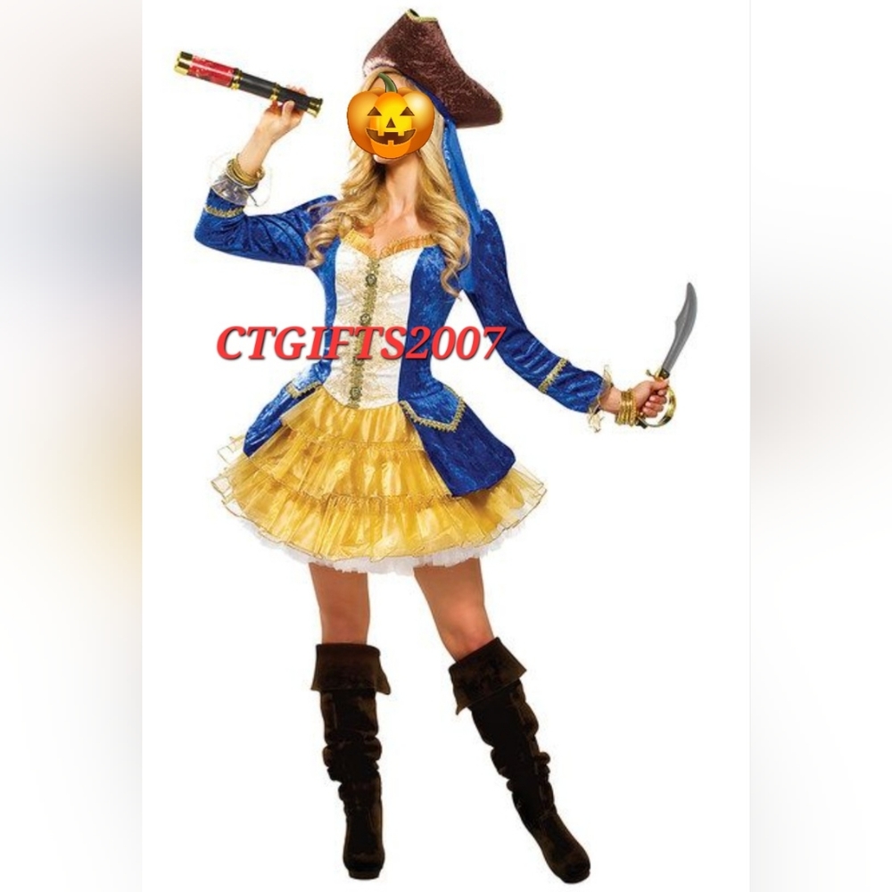 Sexy Pirate Halloween Costume Adult Women 4 PC Goddessey Blue Classic Storybook